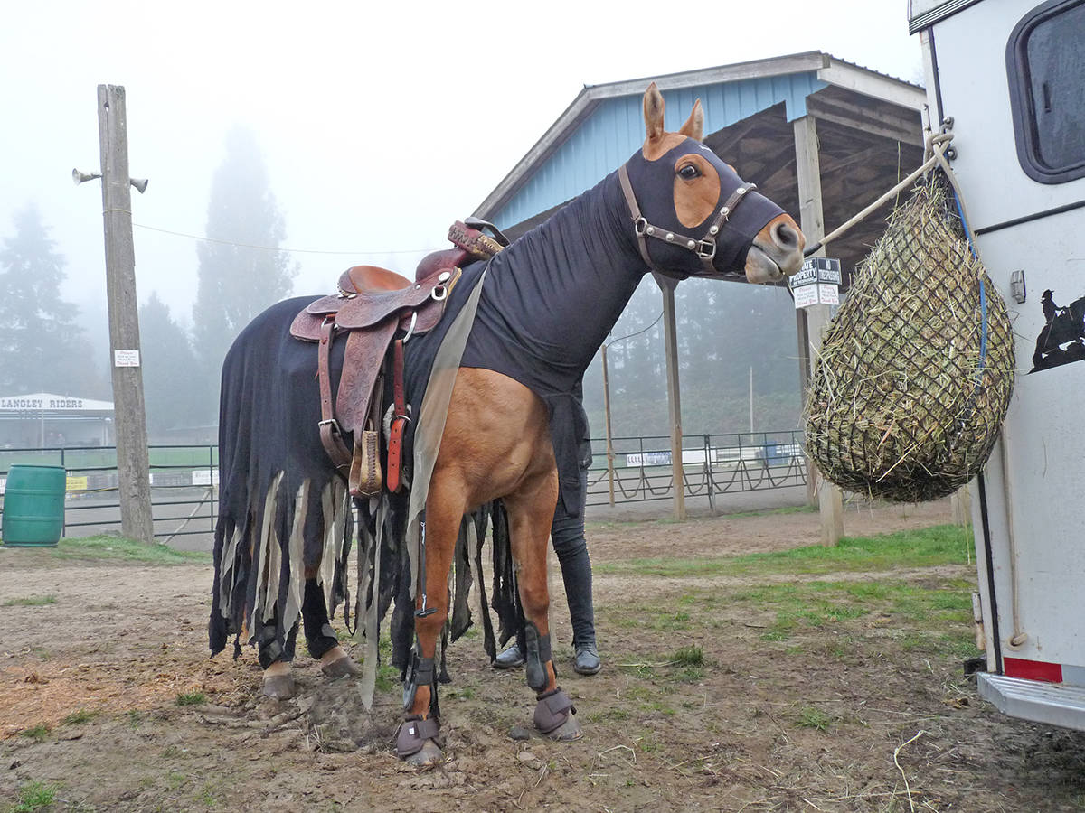 14062402_web1_181020-LAT-Halloween-on-horseback-ghost-horse