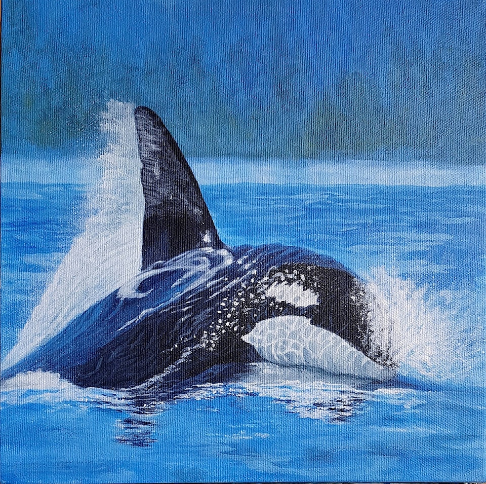 14197154_web1_Orca_stellapurdy_Incognito