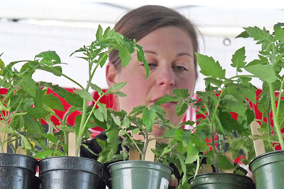 15493457_web1_12154933_web1_copy_180602-LAT-farmers-market-bennett