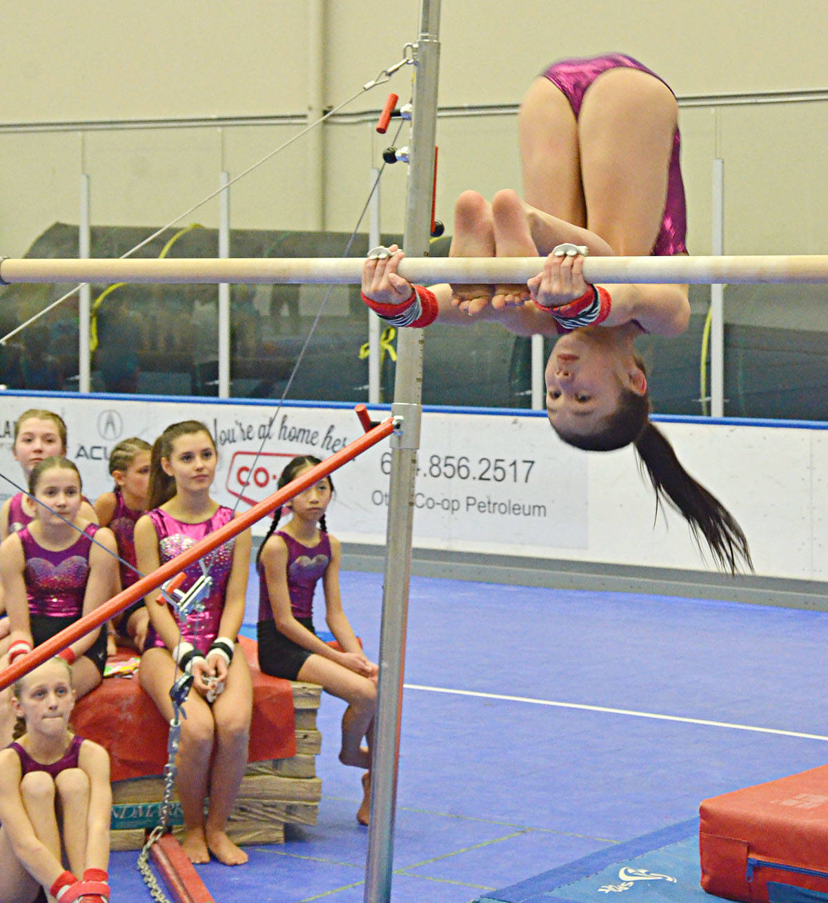 15588302_web1_190215-LAD-ChristyFraserMemorialGymnastics_16