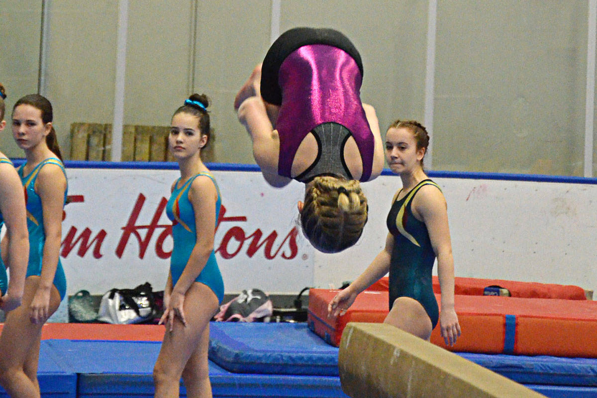 15588302_web1_190215-LAD-ChristyFraserMemorialGymnastics_6