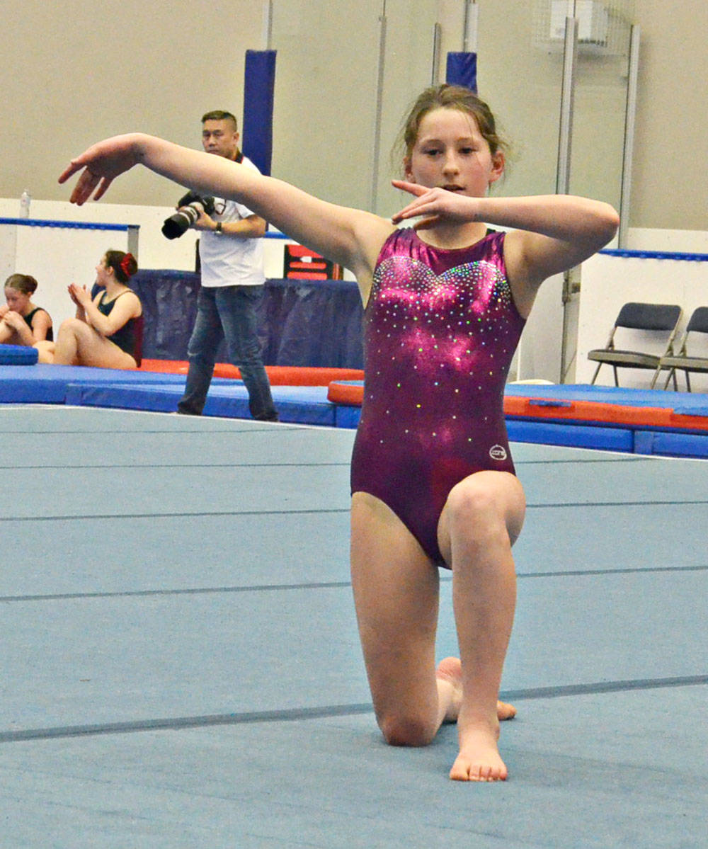 15588302_web1_190215-LAD-ChristyFraserMemorialGymnastics_7