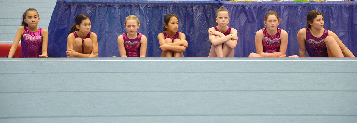 15588302_web1_190215-LAD-ChristyFraserMemorialGymnastics_8