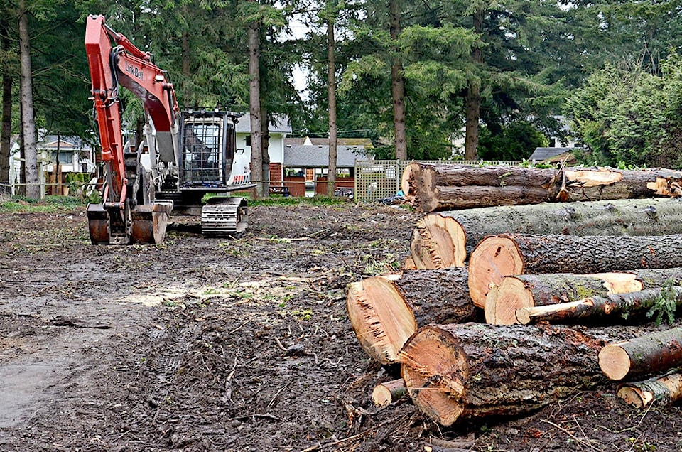 18926treecutting