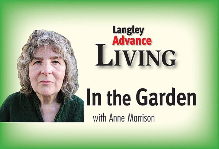 27409langleyadvanceLangArt_column_garden