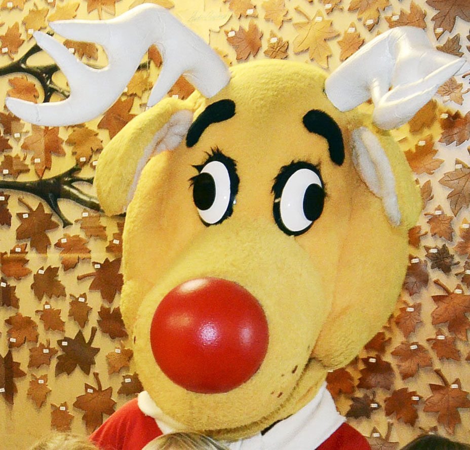 27961red-nose-icon