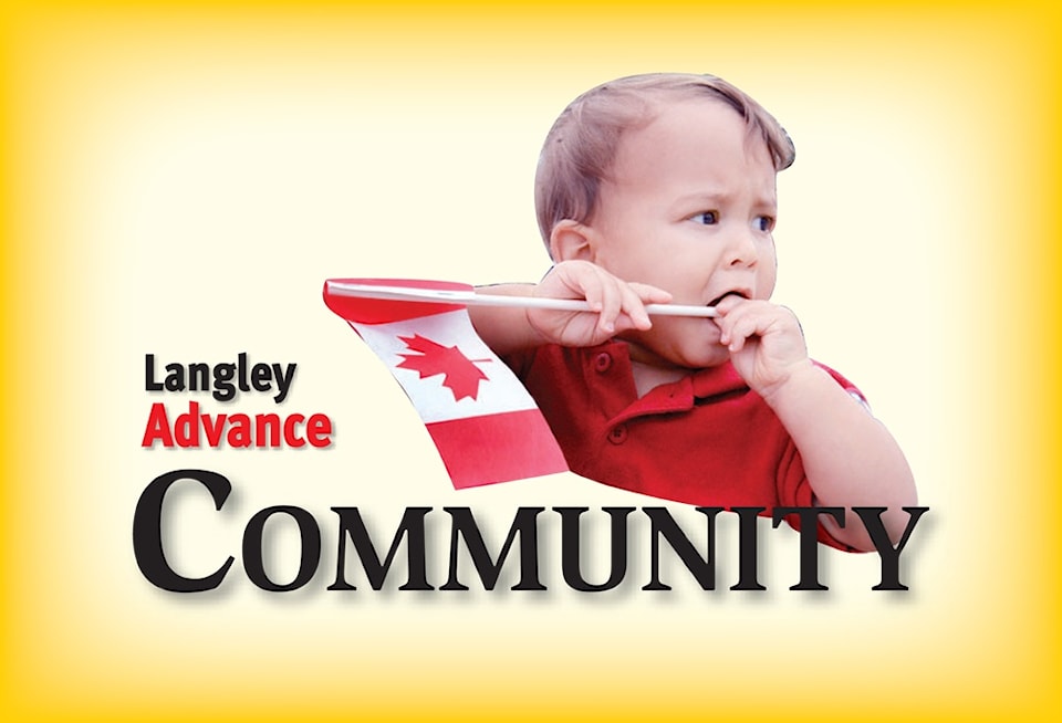 74066langart-community-flag
