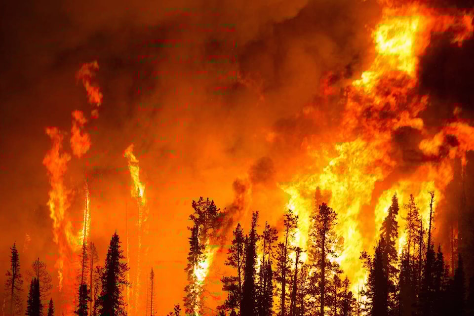 7771951_web1_forest-fire
