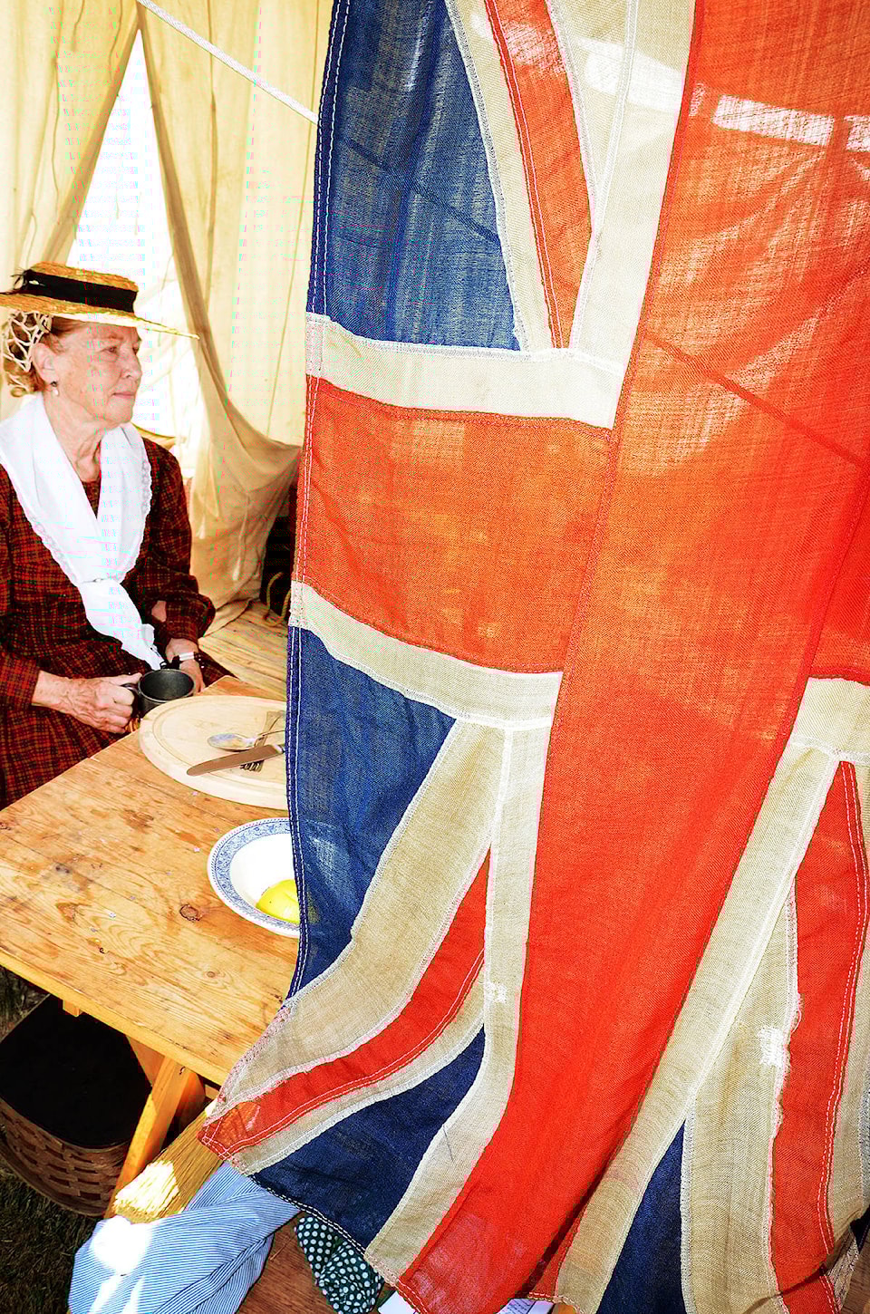 7941540_web1_brigadedays25c
