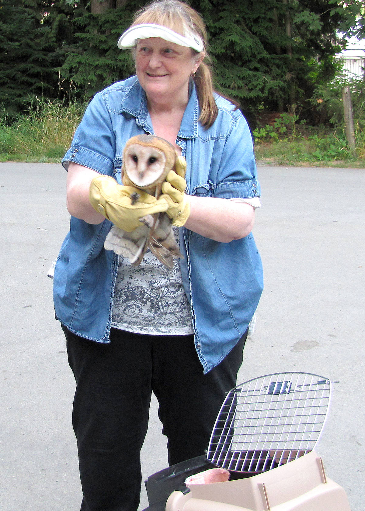 8286060_web1_Owl2C