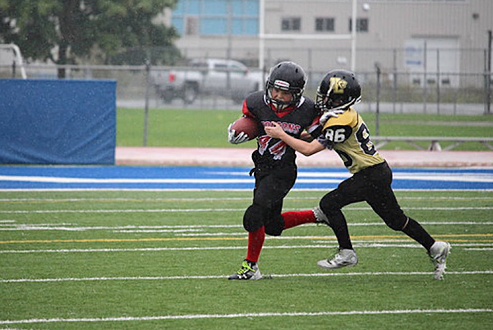 8528222_web1_Peewee-week2