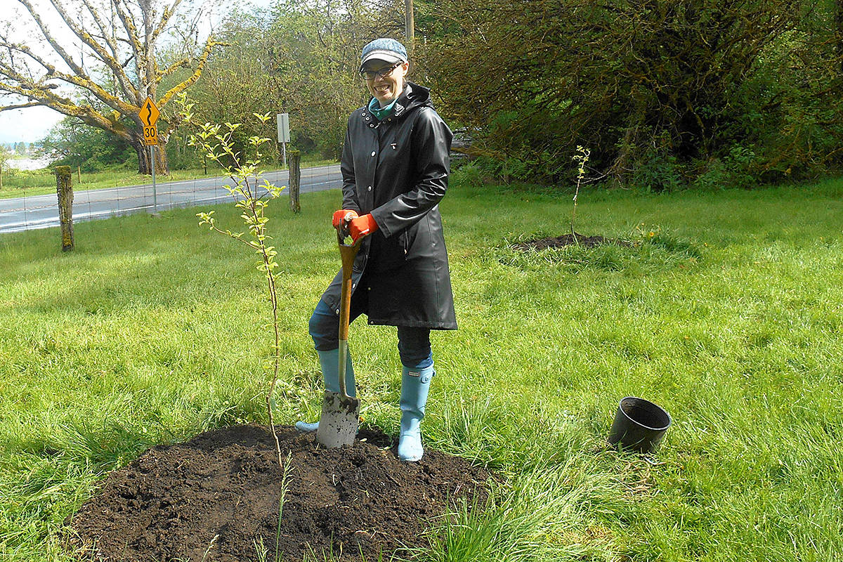 8672502_web1_ReplantingC