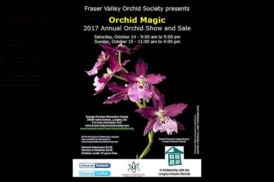 8898115_web1_171012-LAD-OrchidShowPreview_1