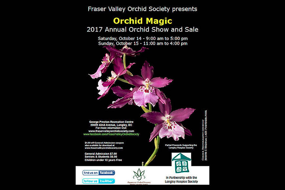 8898115_web1_171012-LAD-OrchidShowPreview_1