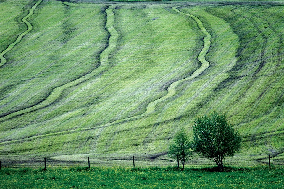 9172994_web1_-22-Hayfield
