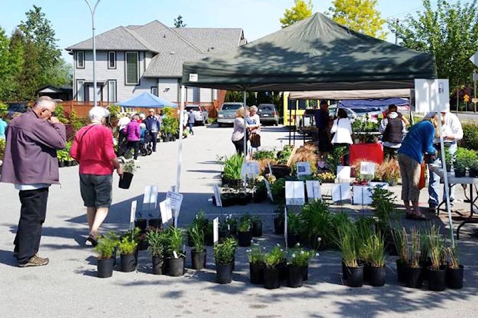 web1_170417-LAD-M-PlantSale3C