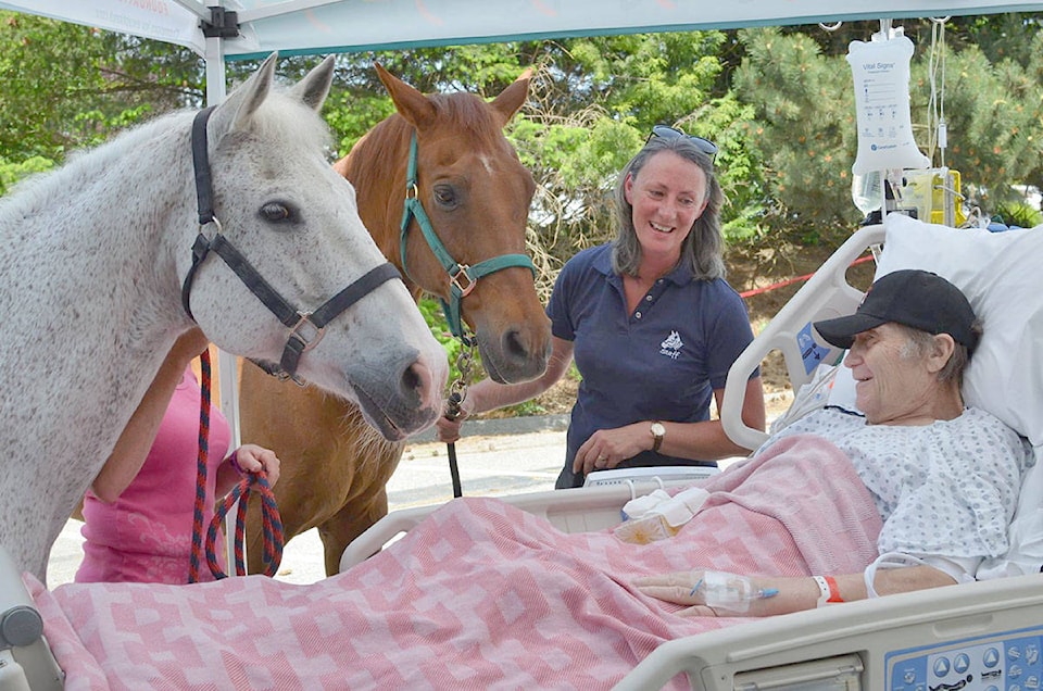 web1_170607-LAD-FraserHealthHorseHospital_1