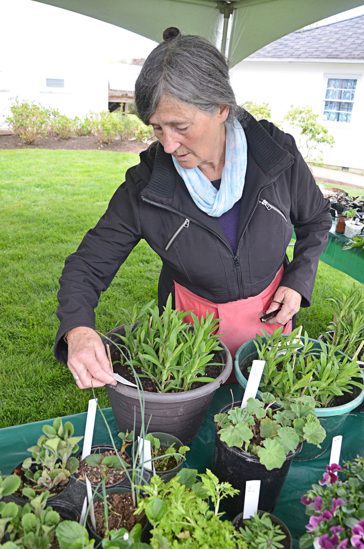 web1_GardenClub2c