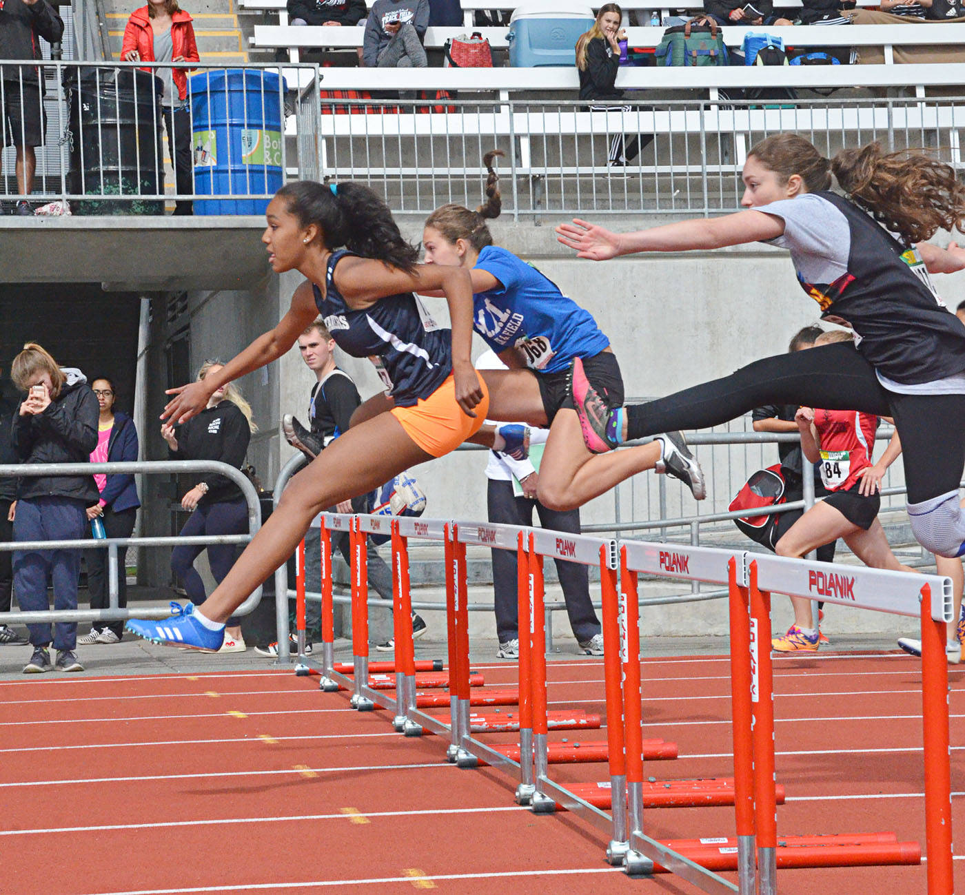 web1_Hurdles1c