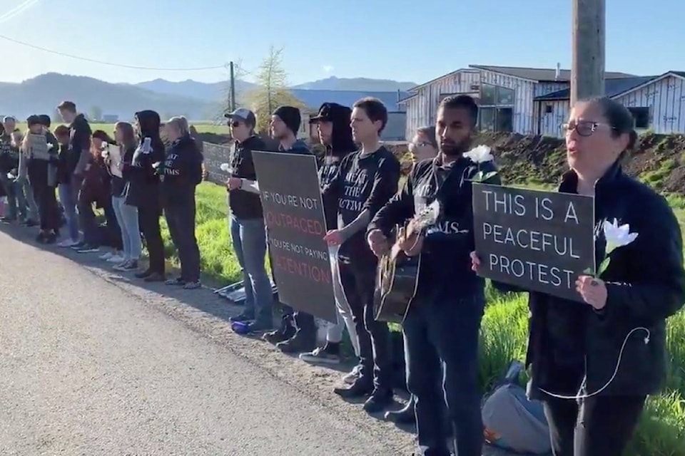 16600663_web1_190429-BPD-M-Abbotsford-pig-farm-protest-April-28-2019