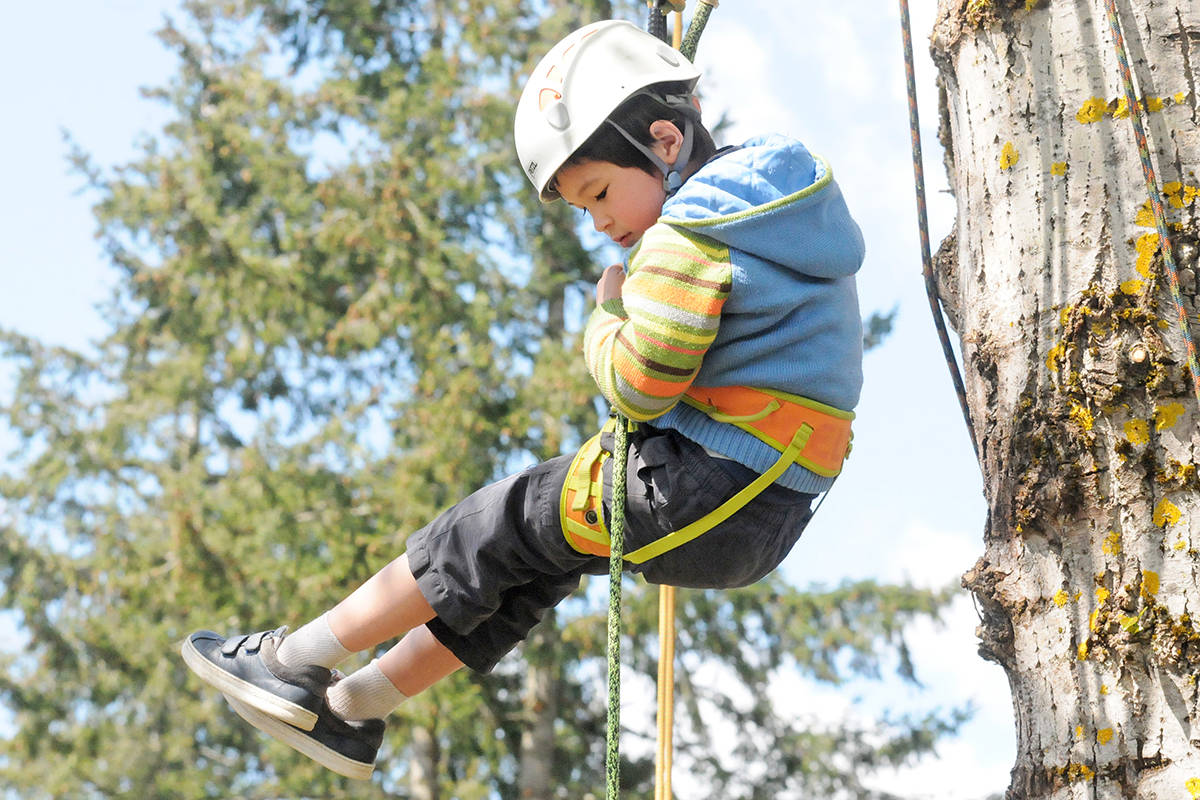 16626628_web1_190430-LAT-Arbour-day-rappelling