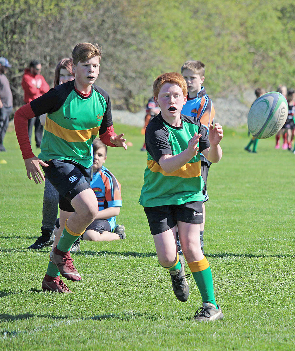 16646807_web1_190501-LAD-mini-rugby-jamboree-McLeod