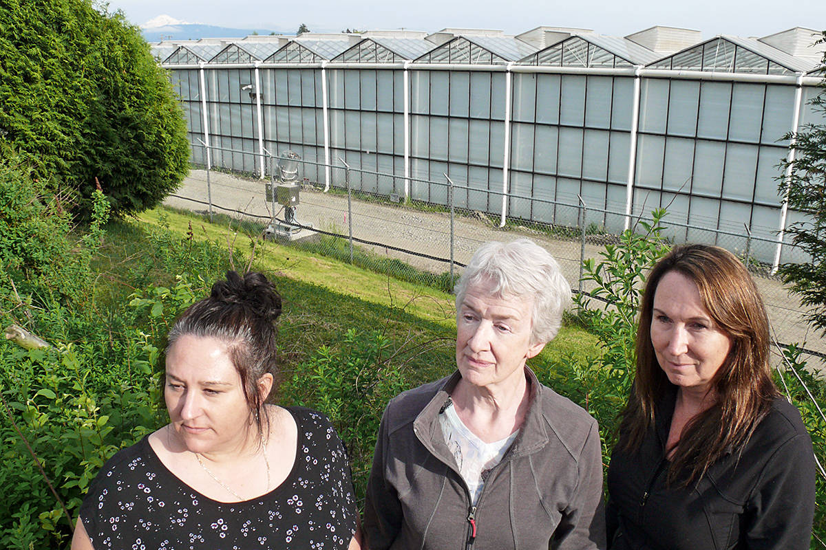 16797791_web1_copy_190513-LAD-greenhouse-neighbours