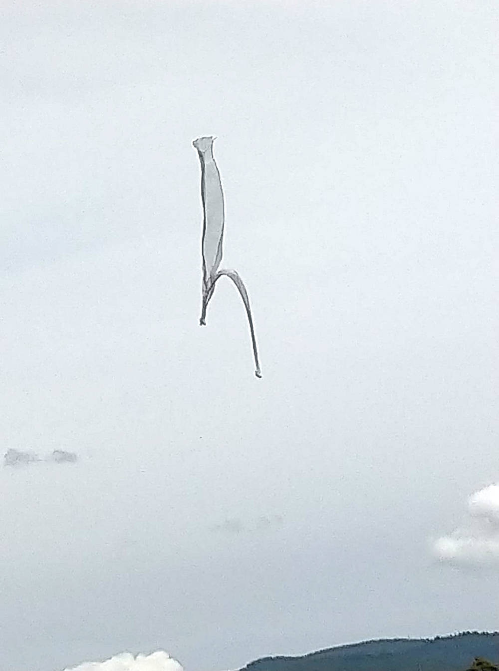 VIDEO Plane reportedly on fire above Abbotsford was actually a tarp