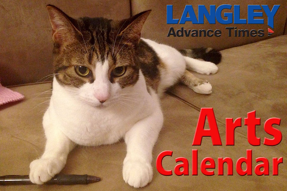 17488256_web1_XartcalCat