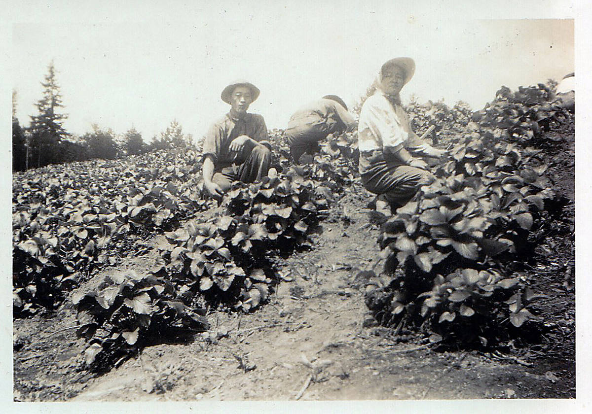 17507098_web1_teaser_Cindy-Mochizuki-s-grandmother-s-berry-farm-in-Langley-1941.-Photo-courtesy-of-artist.