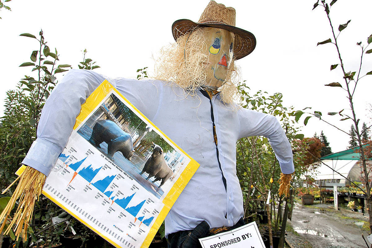 18404906_web1_Scarecrow1