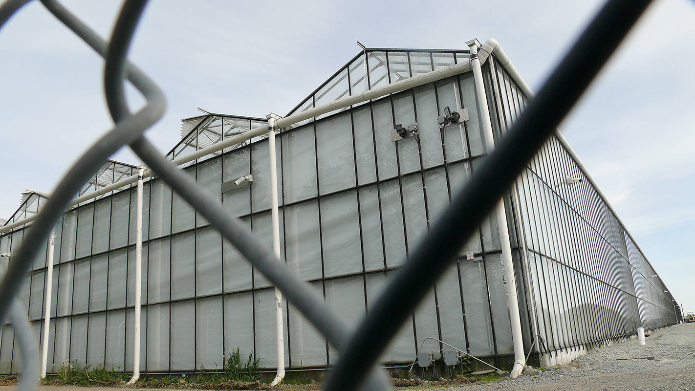 18561180_web1_190917-LAD-canopy-greenhouse-2