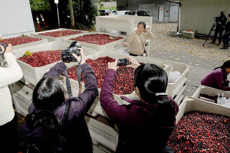 18677371_web1_8844271_web1_141011-LAT-cranberryfestival2-1200x797