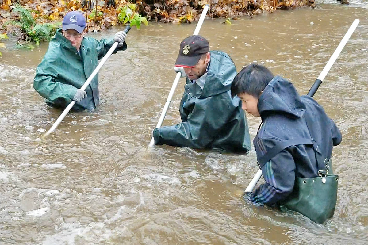 19415299_web1_191117-LAD-salmon-capture-2-