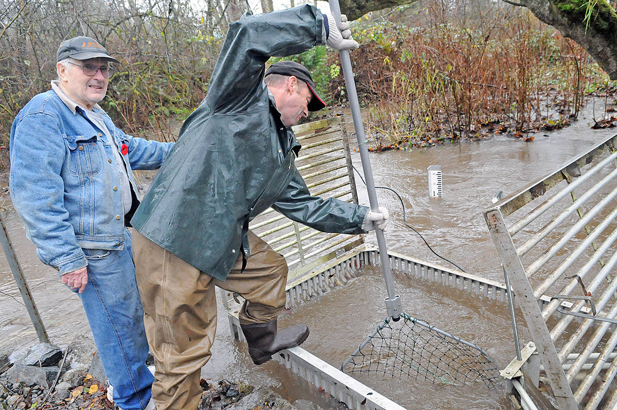 19415299_web1_191117-LAD-salmon-capture-4