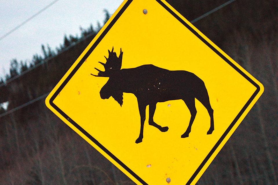 19578279_web1_Moose-sign