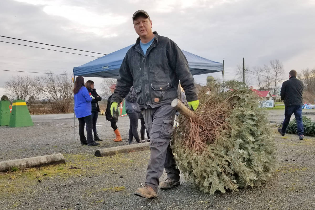 If you to chip your Christmas tree, you still have options