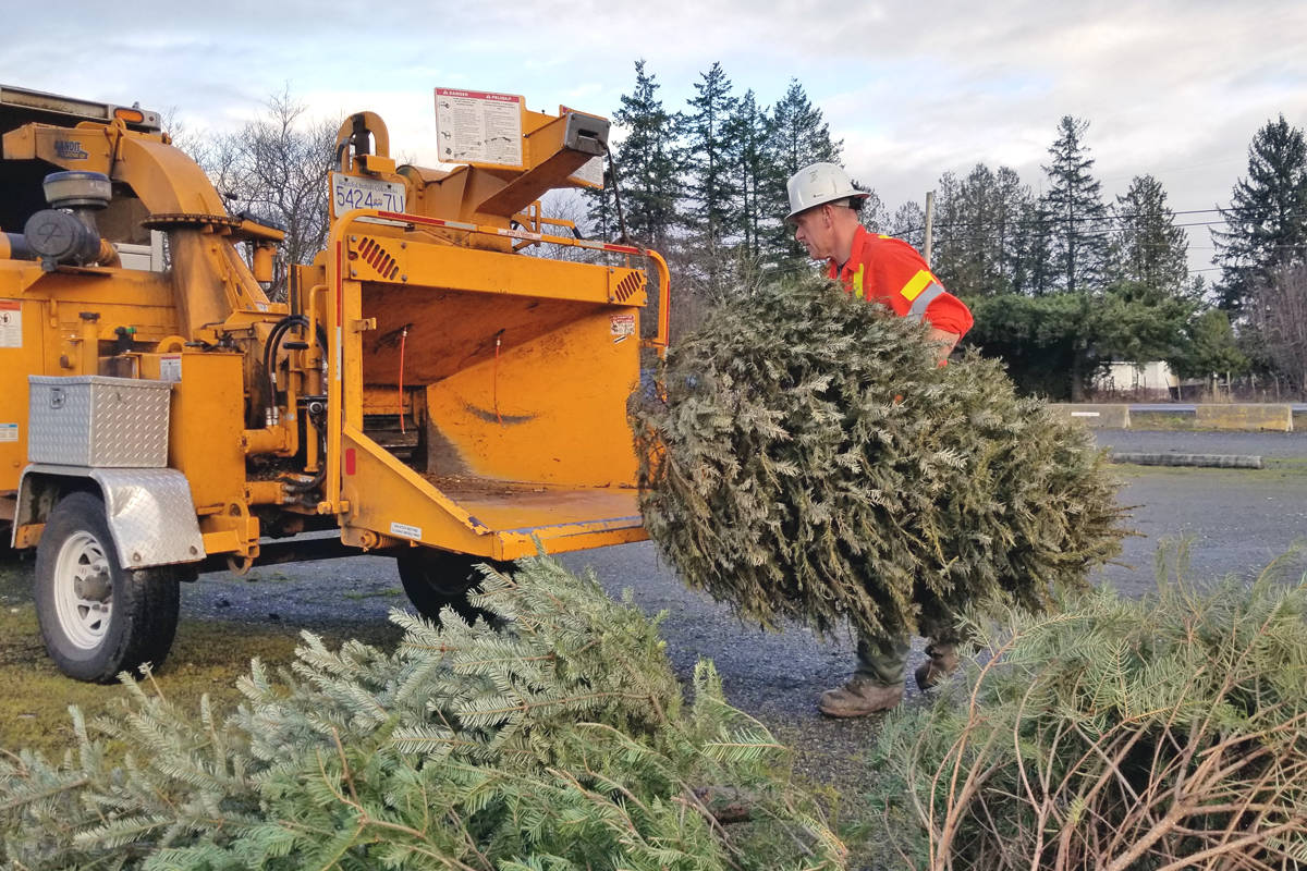 If you to chip your Christmas tree, you still have options