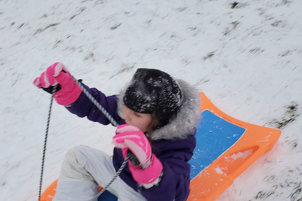 PHOTOS What did Langley residents get up to during the snow day