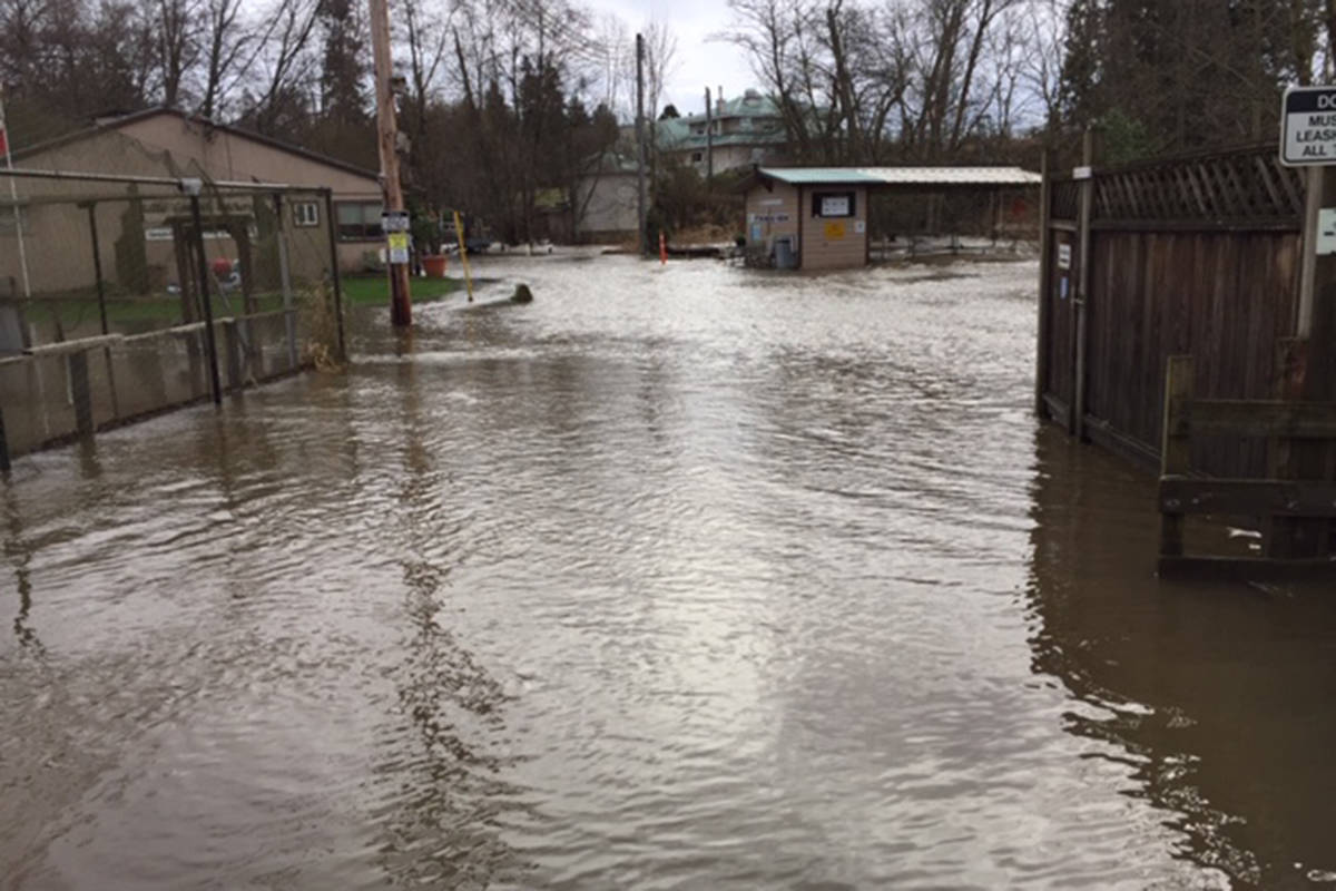 20450807_web1_200207-PAN-HatcheryFlood-floodphotos_6