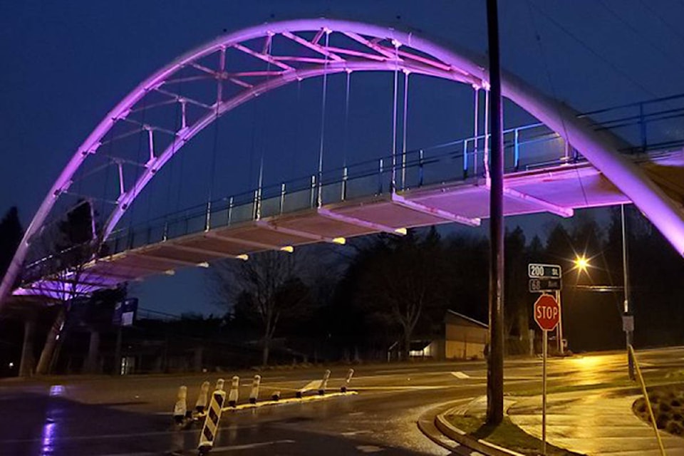 21098654_web1_200327-LAT-TOL-Purple-Bridge-ColeHarmony_1