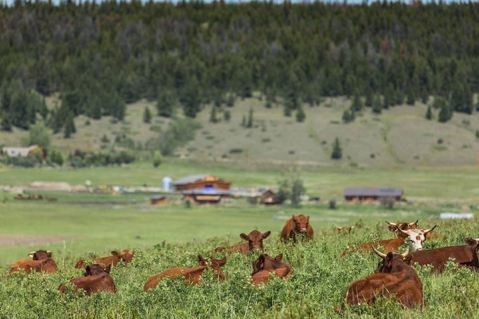 21741572_web1_20200602-BPD-Rafter-25-Ranch-Redstone-BC.-felix.schelleberg