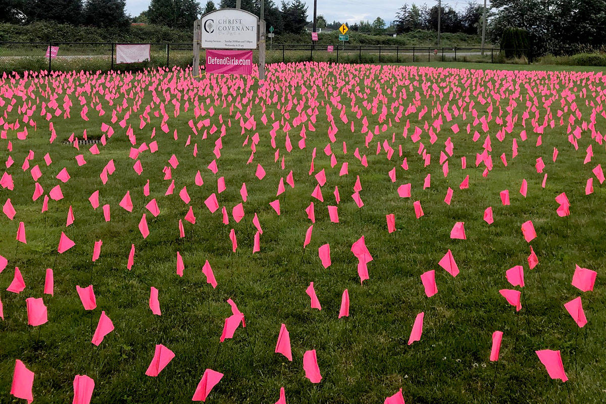 22141391_web1_200715-LAT-Pink-Flag-Display-flag_3