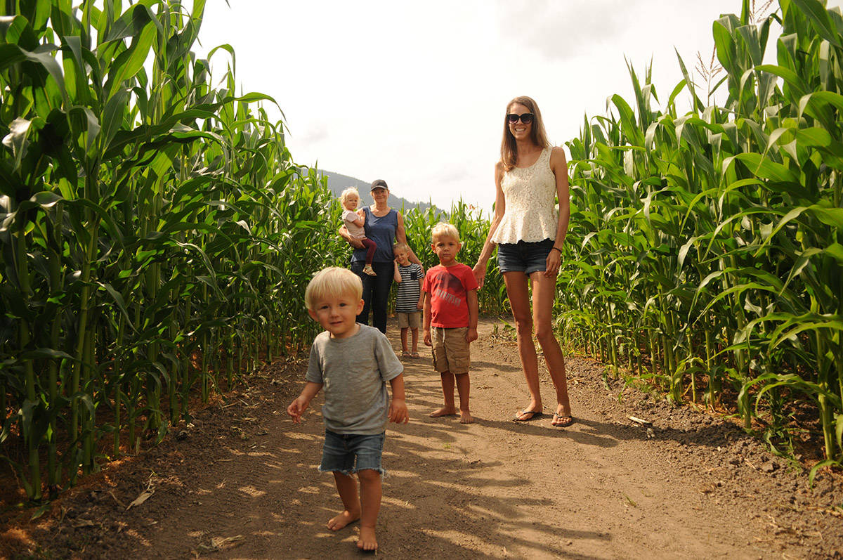 22432661_web1_200811-CPL-Corn-Maze-2020-Season_3