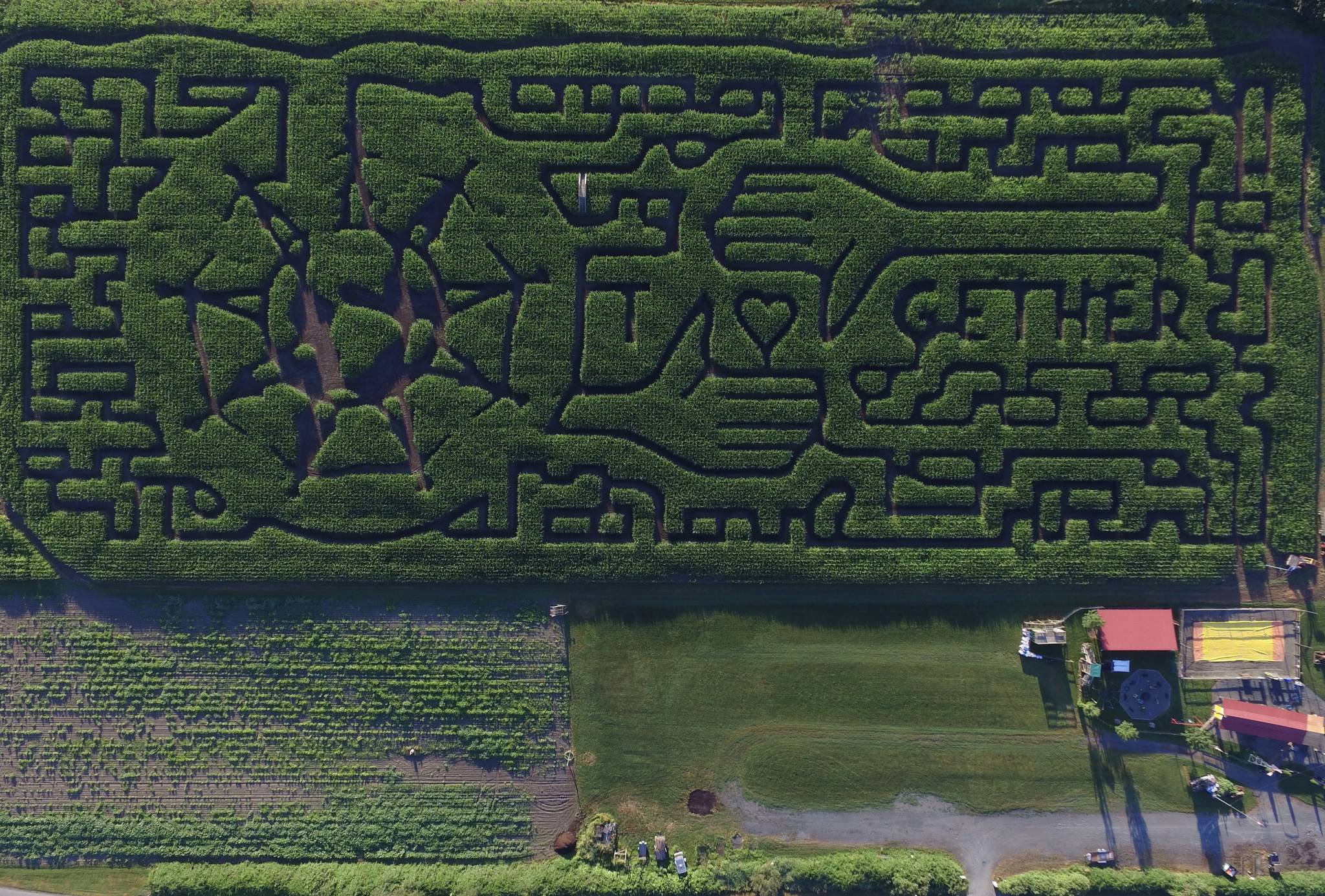 22432661_web1_200811-CPL-Corn-Maze-2020-Season_5