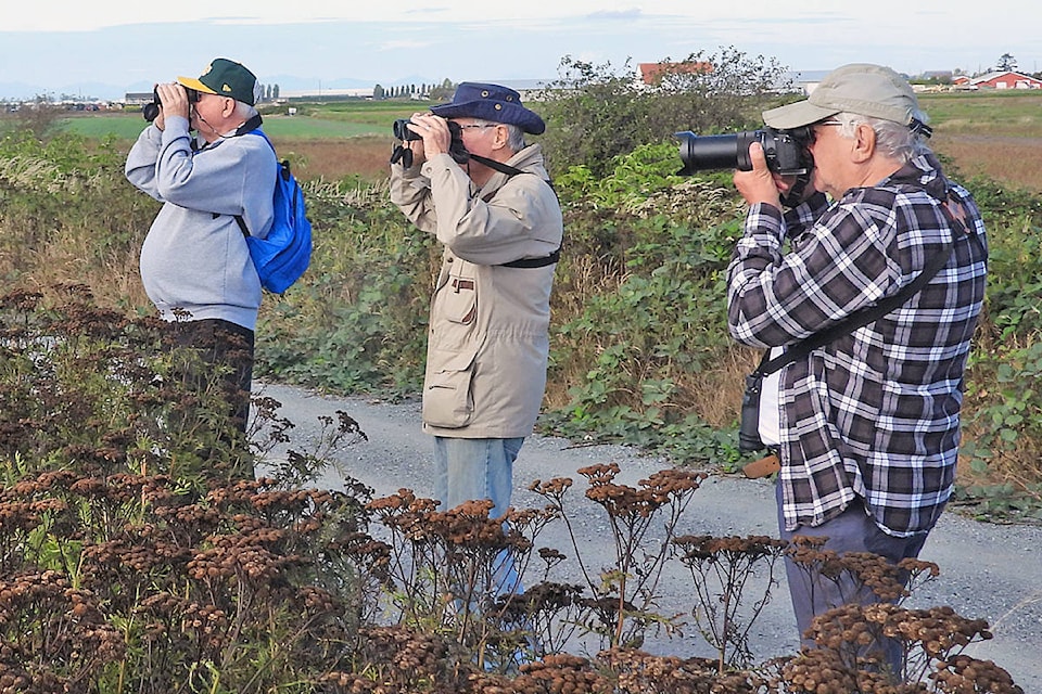 22752961_web1_copy_200919-LAT-bird-watching-feature-birders_1