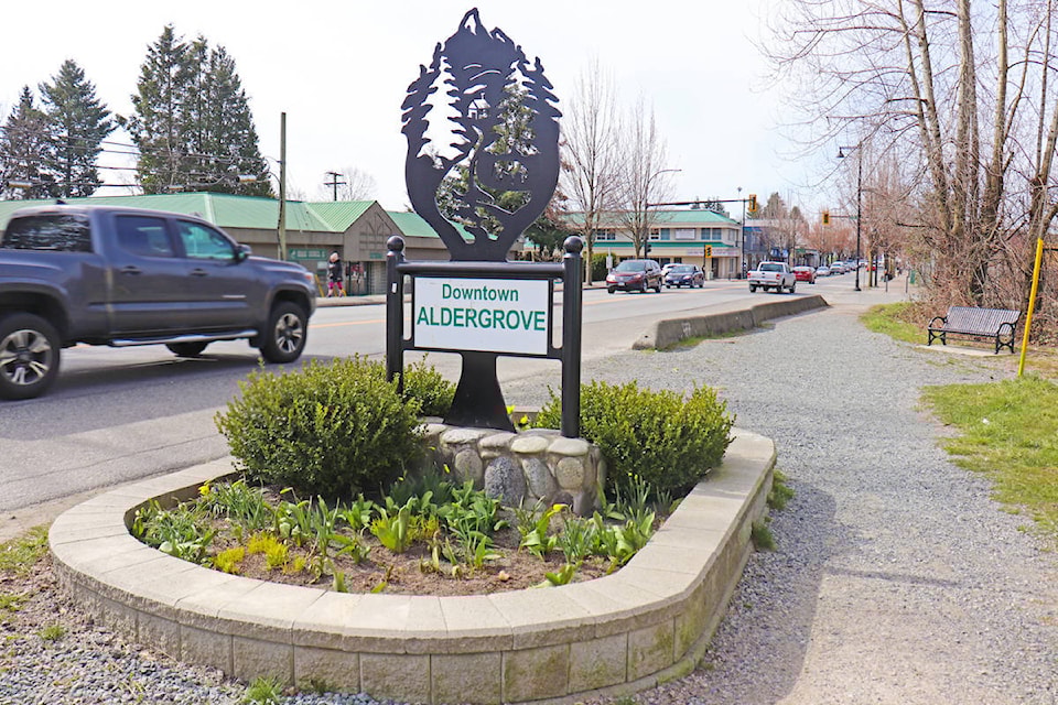22781386_web1_200922-ALT-Aldergrove-clean-up-aldergrove_1