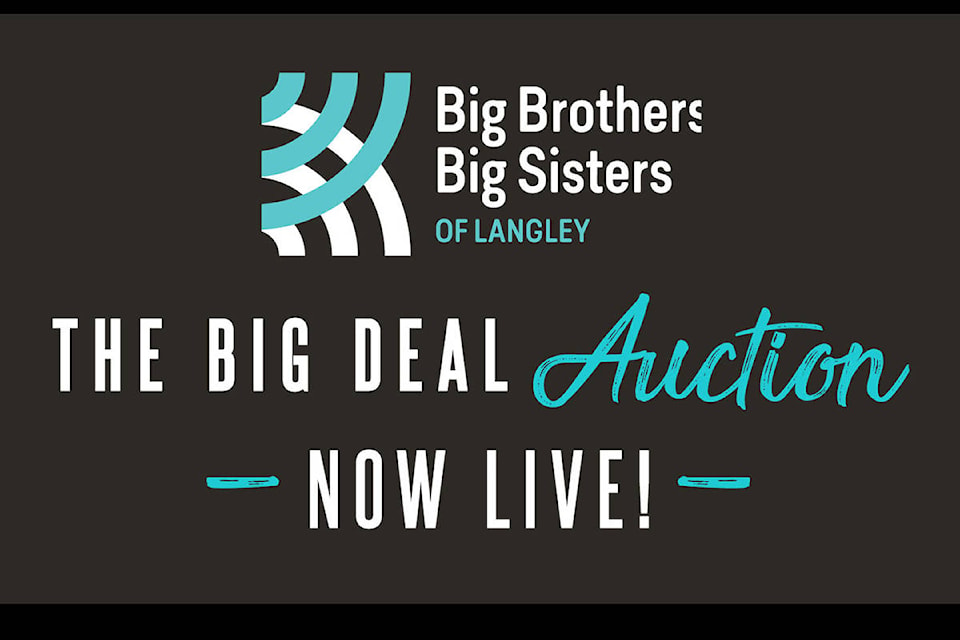 22880913_web1_copy_201002-LAT-BigBrothersBigSistersAuction-._1