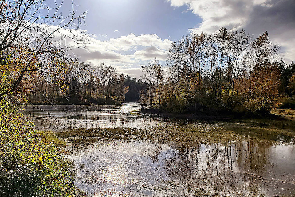 23460520_web1_201126-LAT-LENSOrlowskiCampbellValleyPond-pond_1