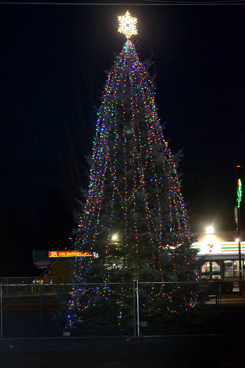 23590761_web1_201209-ALT-Alder-Tree-lights_4